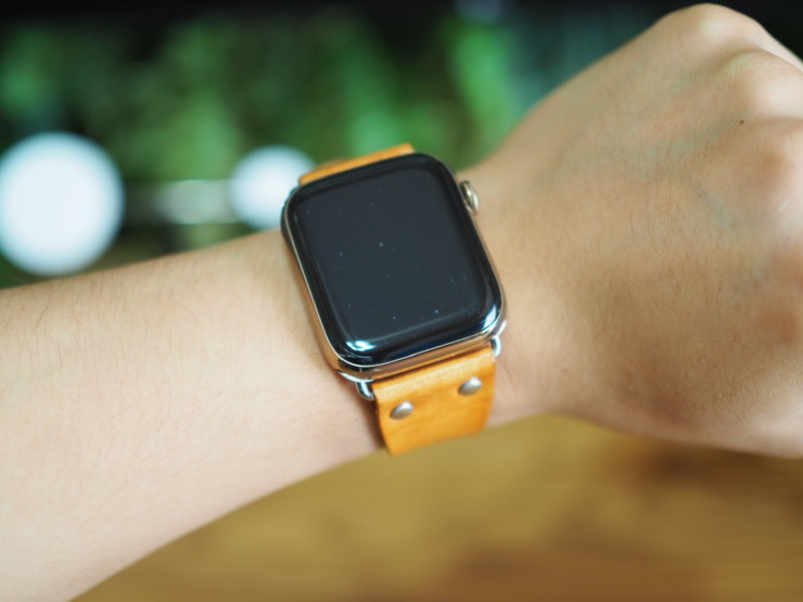 ダニエルウェリントン Apple Watch 44㎜ ステンレスケース